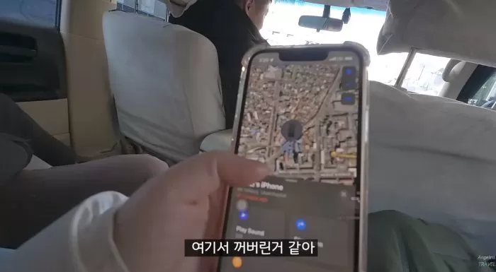 인사이트