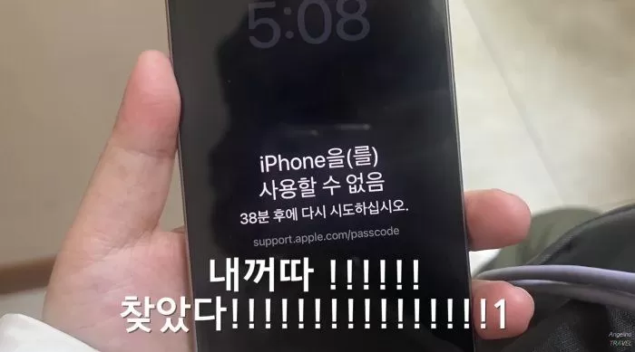 인사이트