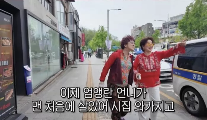 인사이트