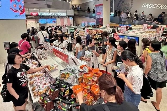 인사이트