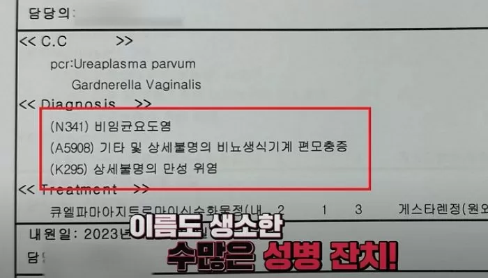 인사이트