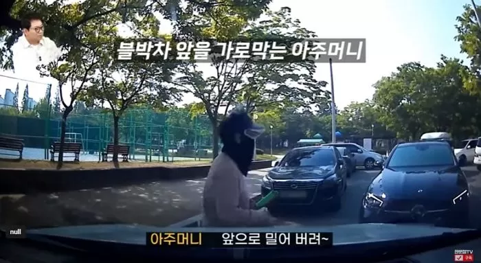 인사이트
