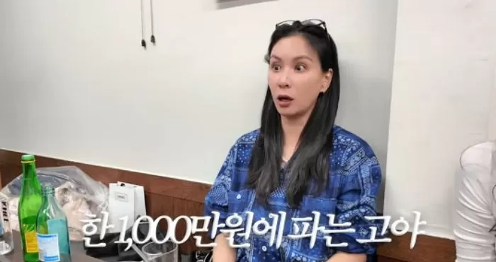 인사이트