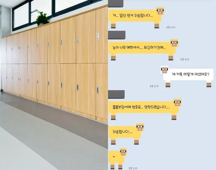 인사이트