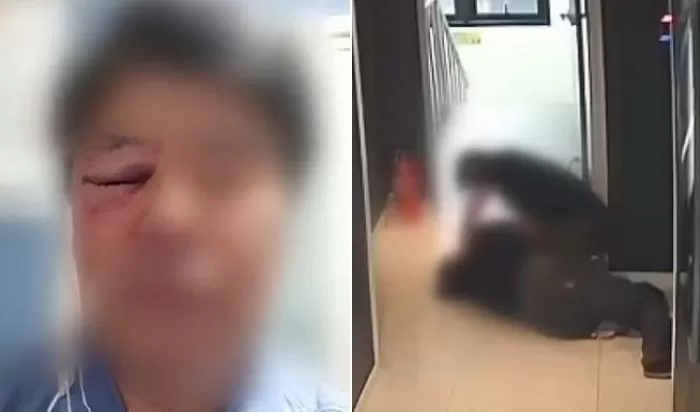 인사이트