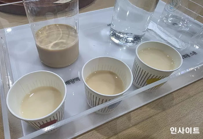 인사이트