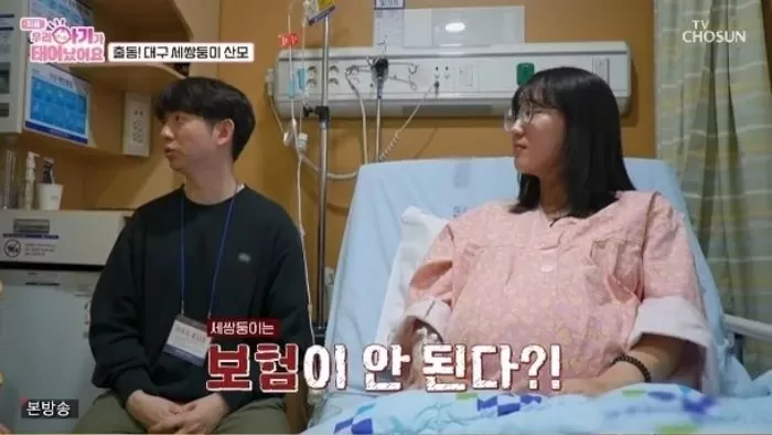 인사이트