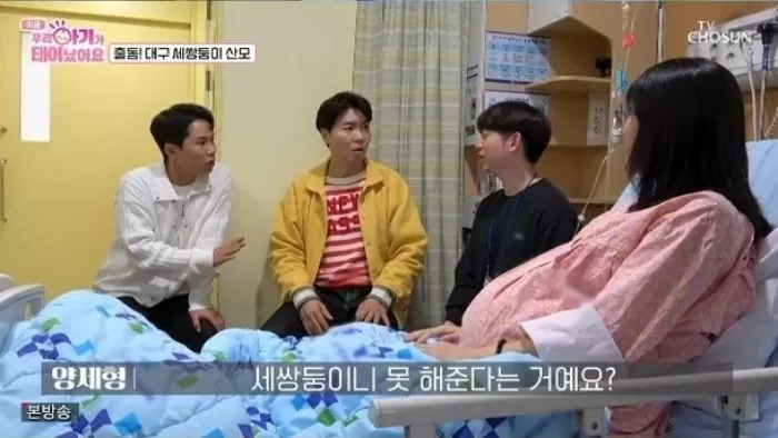 인사이트