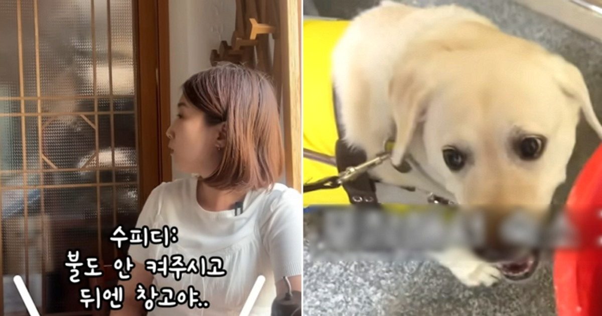 부산회집 이미지