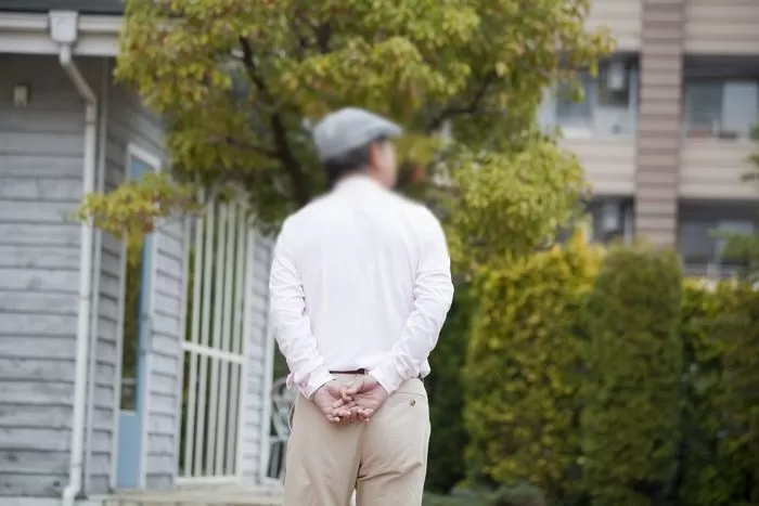 인사이트