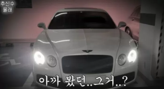 인사이트