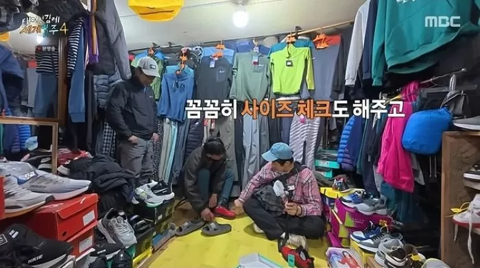 인사이트