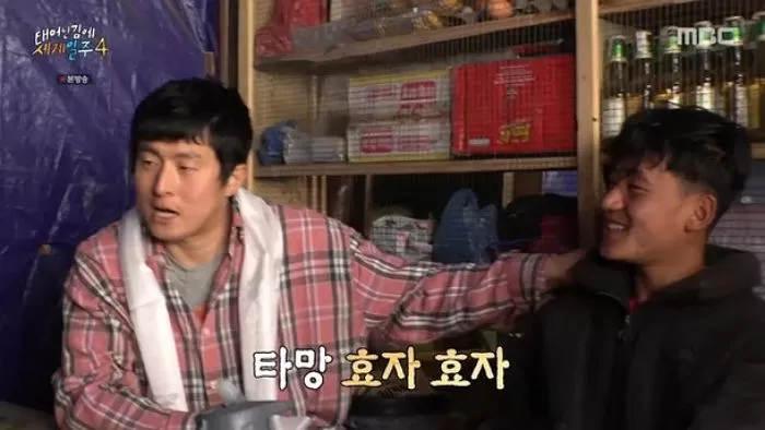 인사이트