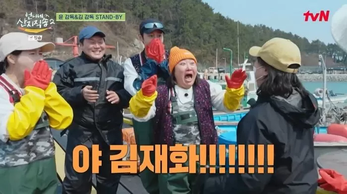 인사이트