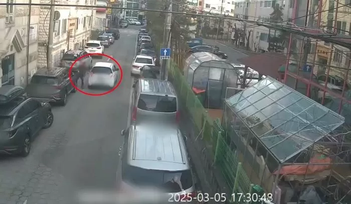 인사이트