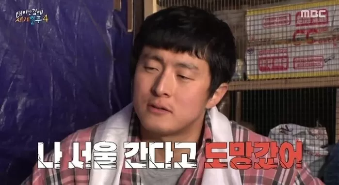 인사이트