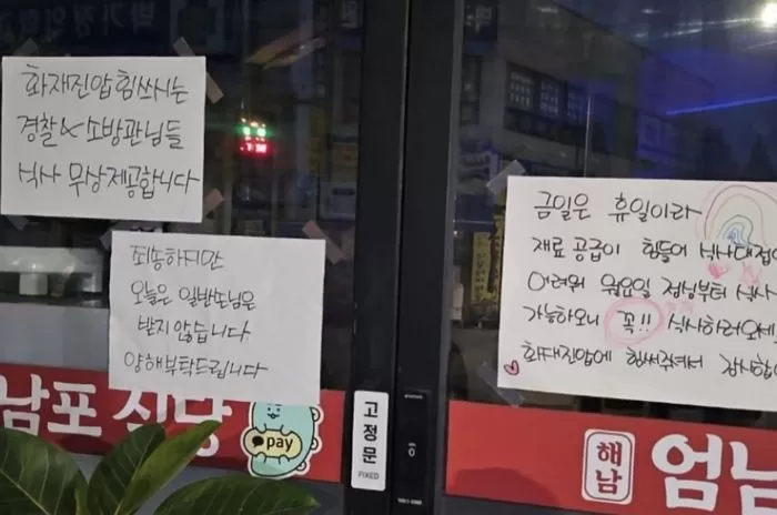 인사이트