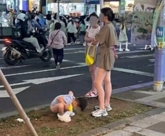 인사이트