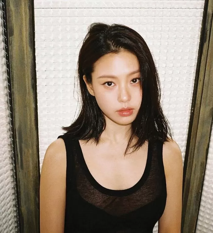 인사이트