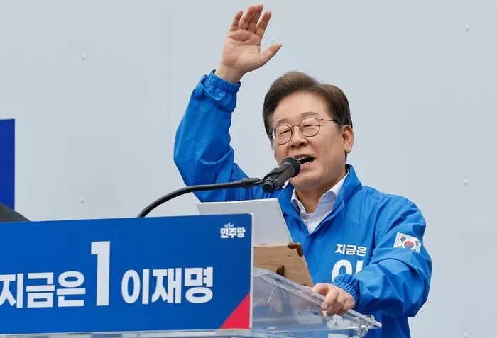 인사이트