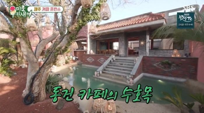 이동건이 제주도에 오픈한 카페 가보니... ‘카페 60개 소유’ 전문가 “이러면 가게 망해” 일침