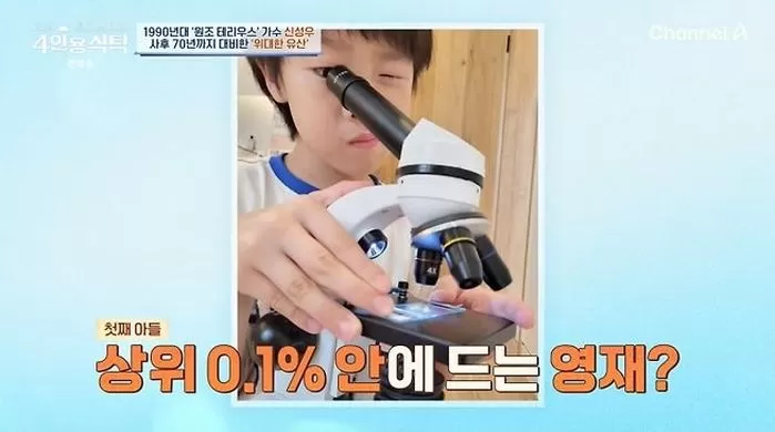인사이트