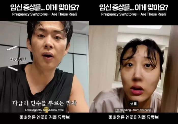 인사이트