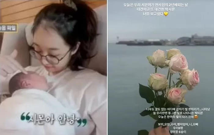 인사이트