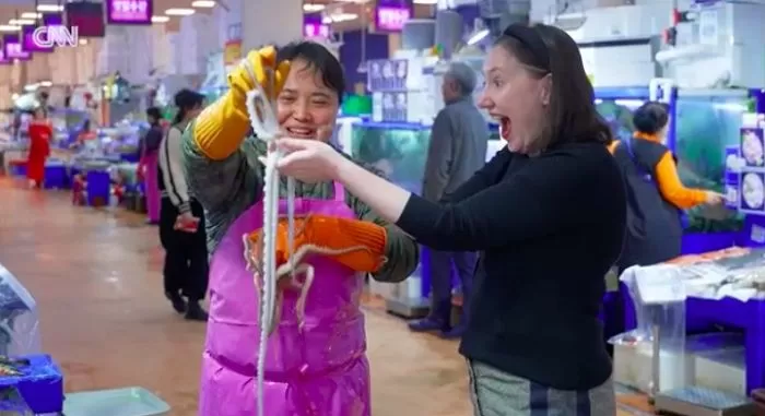 인사이트