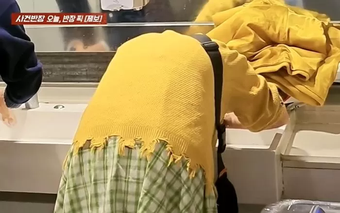 인사이트