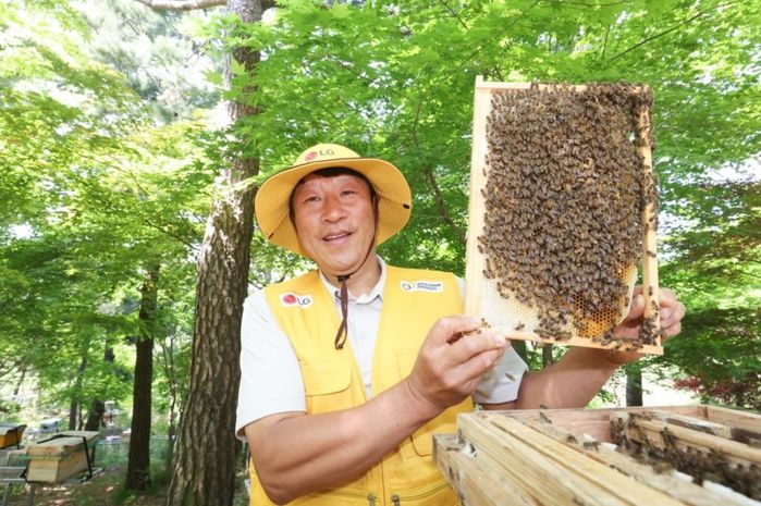 “벌이 사라지면 식탁도 사라진다”... LG, ‘한라 꿀벌 400만 마리 프로젝트’ 가동