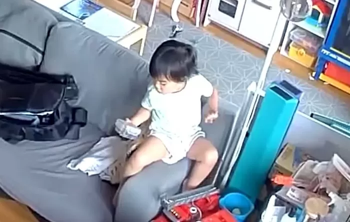 인사이트