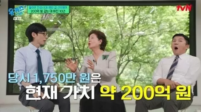인사이트