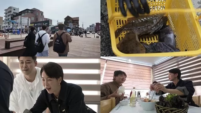 인사이트