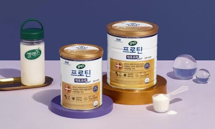 인사이트