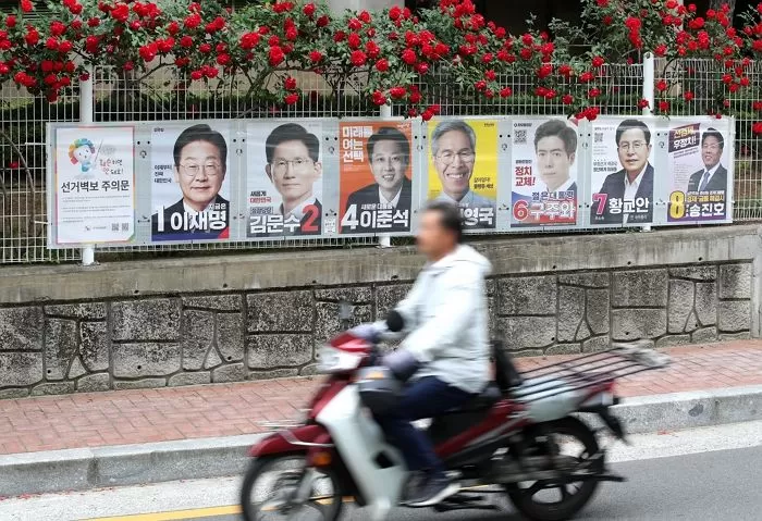 인사이트