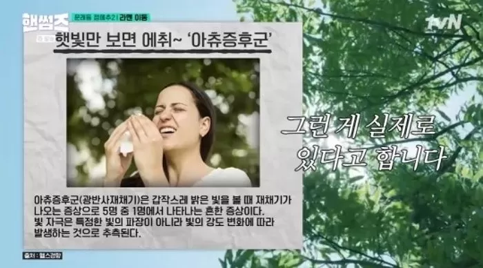 인사이트