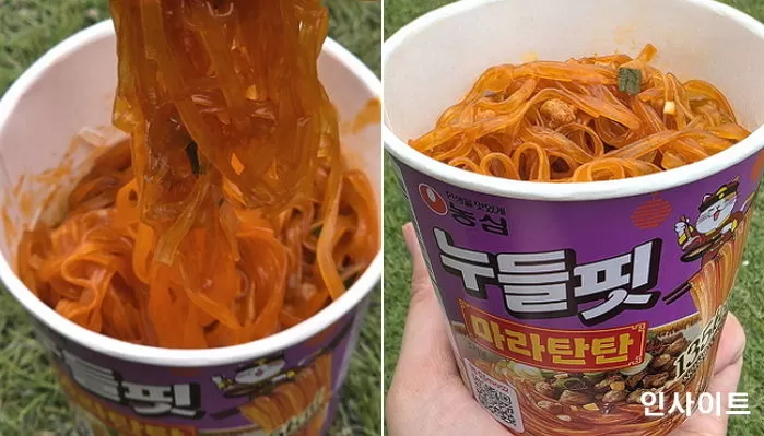 인사이트
