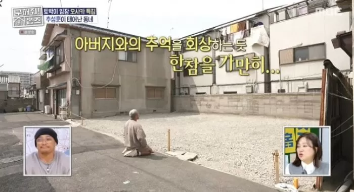 인사이트