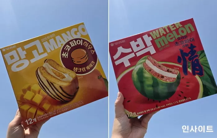인사이트