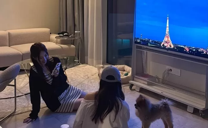 인사이트
