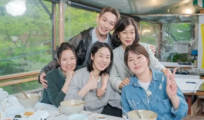 인사이트