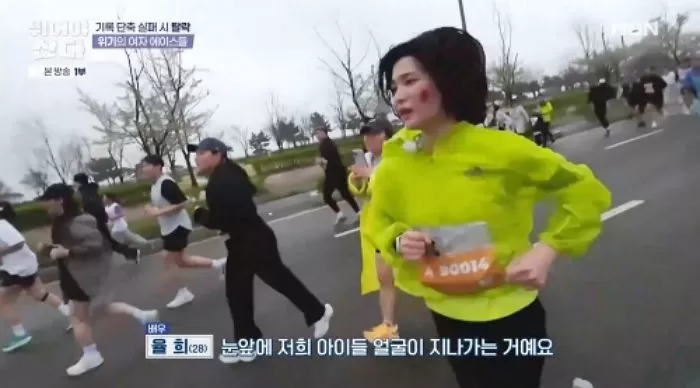 인사이트