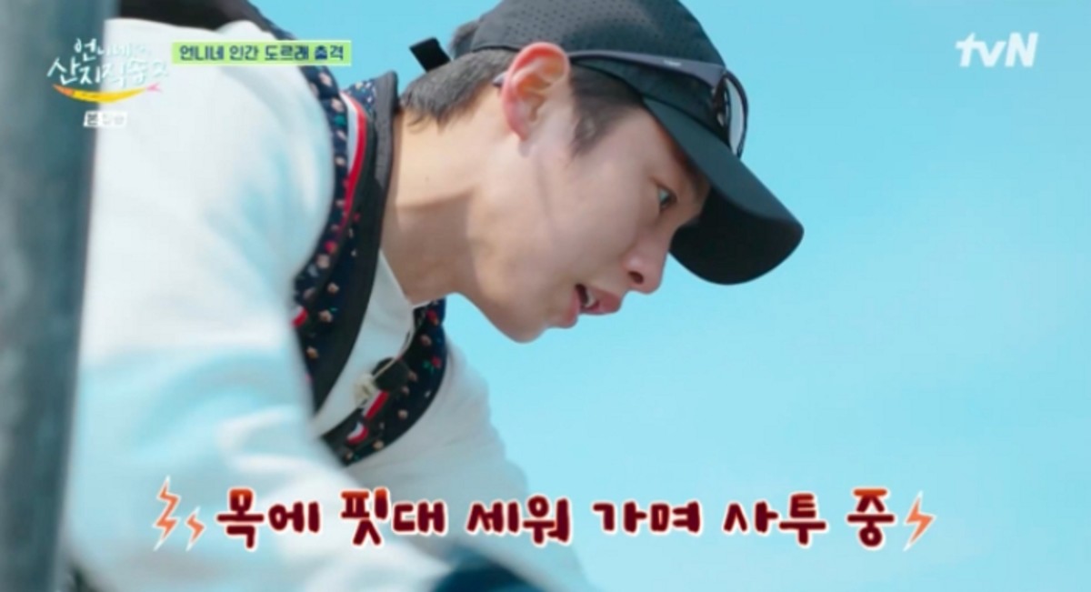 더미도 이미지