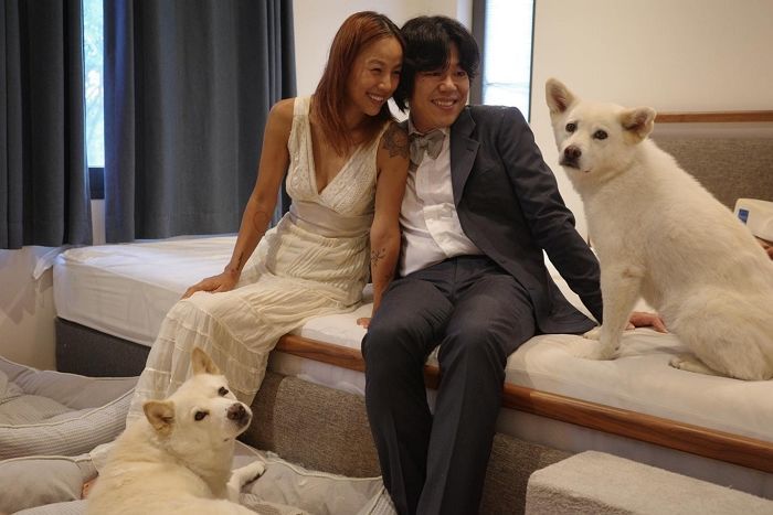 이효리♥이상순 부부, 광고 찍고 벌은 돈 유기동물 위해 3톤 사료 기부 선행
