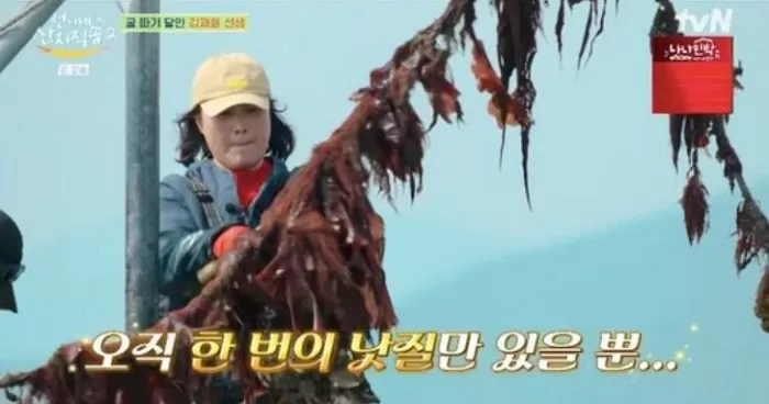 인사이트