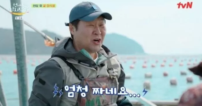 인사이트