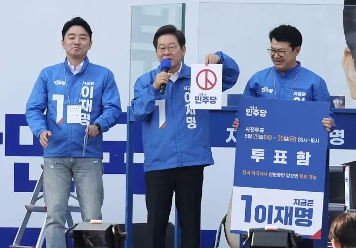 인사이트