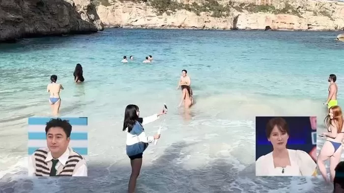 인사이트