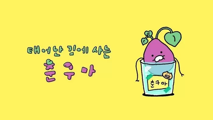 인사이트